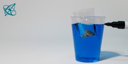Image of experiment