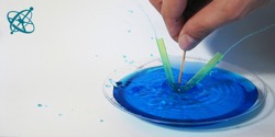 Image of experiment