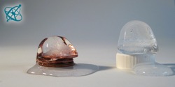 Image of experiment